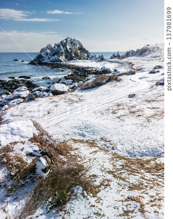 青森縣中須賀和種佐海岸的雪景，八戶市 137981699