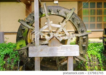 景觀與水車 137981745