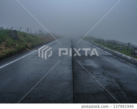 一片令人不安的景象:荒涼的道路籠罩在霧氣之中。 一片令人不安的景象:荒涼的道路籠罩在霧氣之中。 137981946