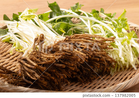 (From Iwate Prefecture) Root Mitsuba (From Iwate Prefecture) Root Mitsuba 137982005
