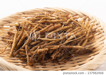 (From Iwate Prefecture) Root Mitsuba (Japanese parsley) (From Iwate Prefecture) Root Mitsuba (Japanese parsley) 137982008