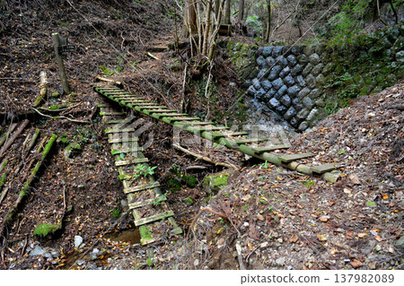A log bridge spanning the Tanitaro River gorge. A log bridge spanning the Tanitaro River gorge. 137982089