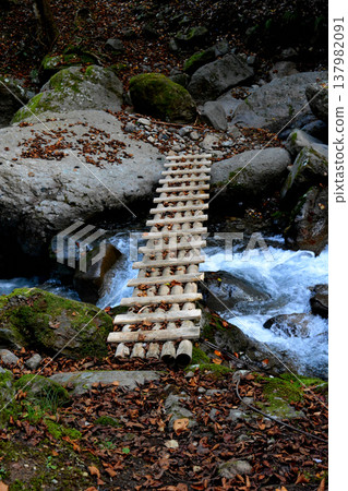 A log bridge spanning the Tanitaro River gorge. A log bridge spanning the Tanitaro River gorge. 137982091