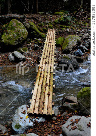 橫跨塔尼塔羅河峽谷的木橋。 橫跨塔尼塔羅河峽谷的木橋。 137982092