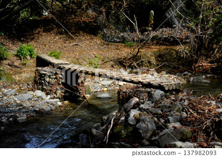 A log bridge spanning the Tanitaro River gorge. A log bridge spanning the Tanitaro River gorge. 137982093