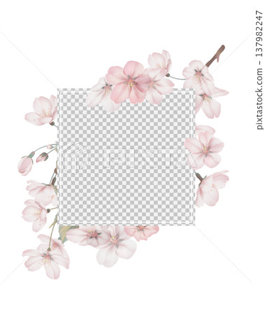 Floral square photo frame decorate with Somei Yoshino sakura flowers Floral square photo frame decorate with Somei Yoshino sakura flowers 137982247