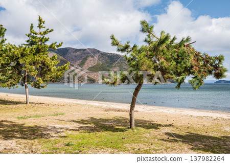 琵琶湖岸邊景色，滋賀縣長濱市牧野町 137982264