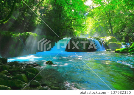 美麗光線的菊池溪谷（靈明之瀧/菊池市） 137982330