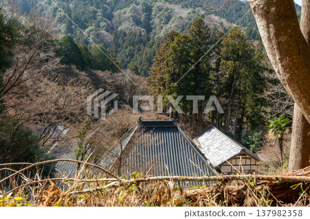 The tiled roof of Koshakuji Temple and the mountain scenery as seen from the mountain slope. The tiled roof of Koshakuji Temple and the mountain scenery as seen from the mountain slope. 137982358