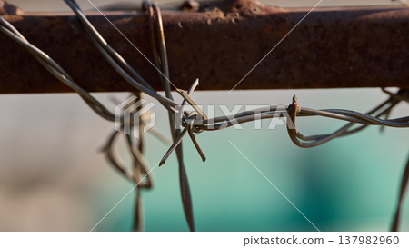 Macro shot of weathered barbed wire, concept of security, border, prison, or restricted area Macro shot of weathered barbed wire, concept of security, border, prison, or restricted area 137982960