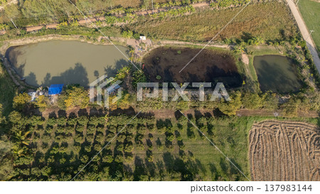 Aerial view of agriculture field in rural Thailand. Thailand has been a successful agricultural society due to the country's well-endowed natural resources, from diverse crops to farming and fisheries Aerial view of agriculture field in rural Thailand. Thailand has been a successful agricultural society due to the country's well-endowed natural resources, from diverse crops to farming and fisheries 137983144