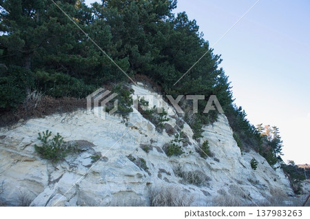 Coastal scenery 137983263