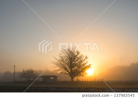 Kazusa-Kubo Station in the early morning 137983545