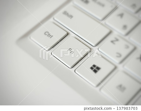 鍵盤上的 Fn 鍵 137983703