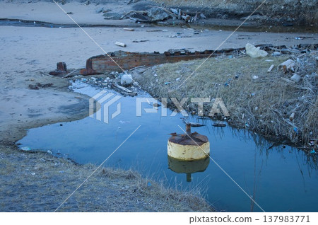 海灘上的水坑 137983771