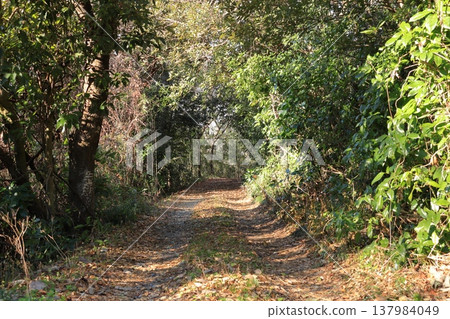前往宮城縣七濱町花淵燈塔的路線 前往宮城縣七濱町花淵燈塔的路線 137984049