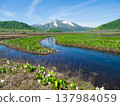 志布津山、濕地和臭菘。 137984059