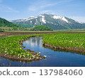 志布津山、濕地和臭菘。 137984060