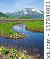 志布津山、濕地和臭菘。 137984061