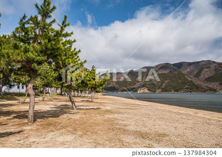 Lake Biwa shoreline scenery, Makino-cho, Nagahama City, Shiga Prefecture 137984304