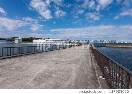 Sea Forest Water Stadium Sea Forest Water Stadium 137985060