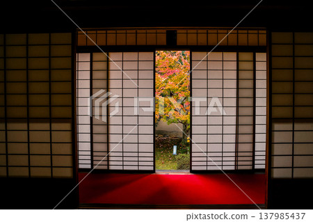 Tranquil Japanese Garden Viewed Through Open Shoji Doors Nov 28 2025 137985437