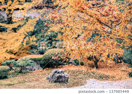 Serene Gozasho Garden at Sennyu ji Temple Kyoto Nov 28 2025 Serene Gozasho Garden at Sennyu ji Temple Kyoto Nov 28 2025 137985449