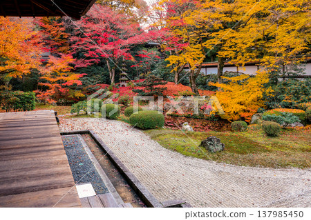 Serene grounds of Unryu-in Temple in Kyoto Japan Nov 28 2025 Serene grounds of Unryu-in Temple in Kyoto Japan Nov 28 2025 137985450