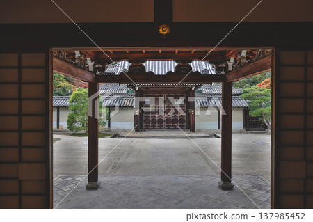 Serene Unryu in Temple Tatami Garden Window View Nov 28 2025 137985452