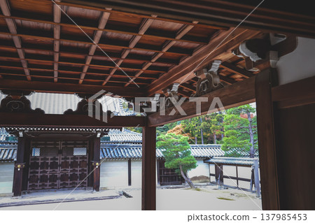 Serene Unryu in Temple Tatami Garden Window View Nov 28 2025 137985453