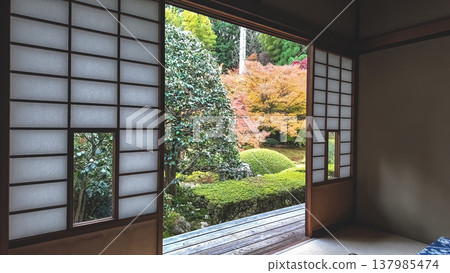 Maple Zen Room Windows at Unryu in Kyoto Nov 28 2025 137985474
