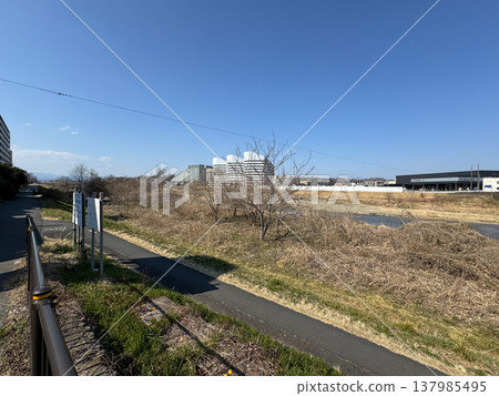 淺川八王子 137985495