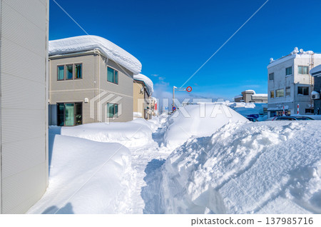 雪鄉生活：大雪紛飛中難得一見的晴天。人行道狹窄得只能容一人通過，但景色卻美不勝收。 137985716