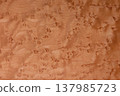 Birdseye Maple 137985723