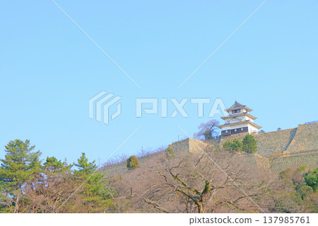 Scenery of Marugame Castle, Marugame City, Kagawa Prefecture Scenery of Marugame Castle, Marugame City, Kagawa Prefecture 137985761