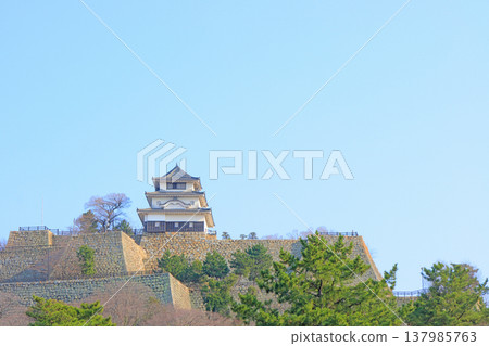 香川縣丸龜市丸龜城風景 香川縣丸龜市丸龜城風景 137985763