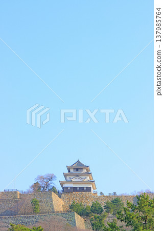 香川縣丸龜市丸龜城風景 香川縣丸龜市丸龜城風景 137985764