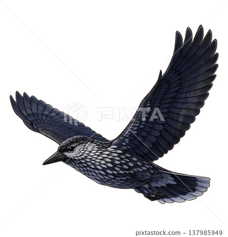 Bird - Nutcracker 137985949