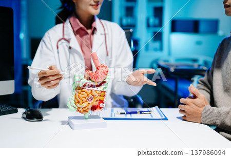 Doctor explains digestive system anatomy using medical model during patient consultation. Gastroenterology, healthcare, diagnosis, treatment and modern clinic concept. 137986094