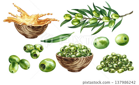 Set with green olives. Hand-drawn watercolor illustrations. An olive branch, a handful of olives, and oil. For labels, prints, and decor, as well as for packaging, banners, posters, and more. Set with green olives. Hand-drawn watercolor illustrations. An olive branch, a handful of olives, and oil. For labels, prints, and decor, as well as for packaging, banners, posters, and more. 137986242