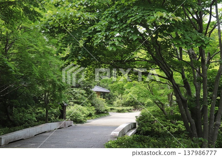 日本公園 日本公園 137986777