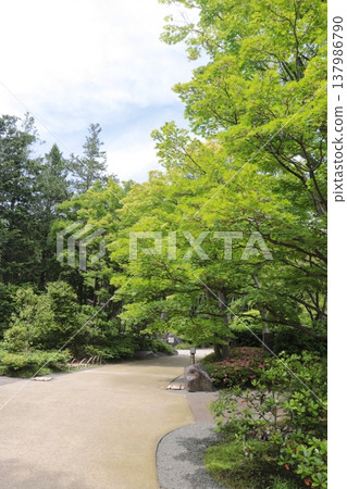 日本公園 日本公園 137986790
