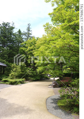 Japanese park Japanese park 137986791