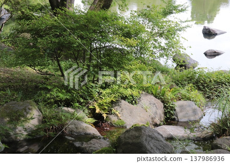 日本公園 日本公園 137986936