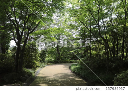 日本公園 日本公園 137986937