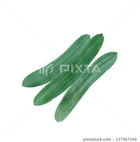 水彩插畫，描繪了三根完整的黃瓜。夏季蔬菜。新鮮食材。 137987340