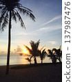 Sunset  137987476