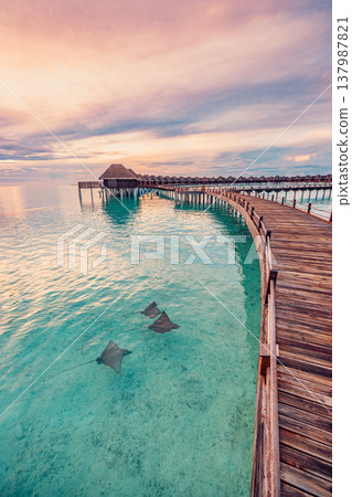 Breathtaking Maldives water villas over calm turquoise ocean with eagle rays swimming by, radiant summer sunlight, serene luxury travel and tropical tourism background Breathtaking Maldives water villas over calm turquoise ocean with eagle rays swimming by, radiant summer sunlight, serene luxury travel and tropical tourism background 137987821