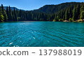 Pristine alpine lake with emerald green water and pine forest reflection 137988019