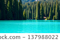 Pristine alpine lake with emerald green water and pine forest reflection 137988022